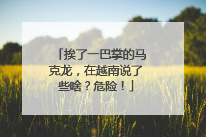 挨了一巴掌的马克龙，在越南说了些啥？危险！