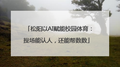 松阳以AI赋能校园体育：操场能认人，还能帮数数