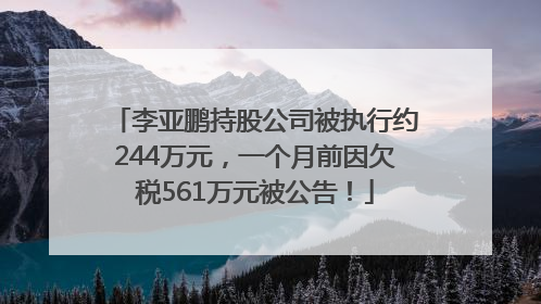 李亚鹏持股公司被执行约244万元，一个月前因欠税561万元被公告！