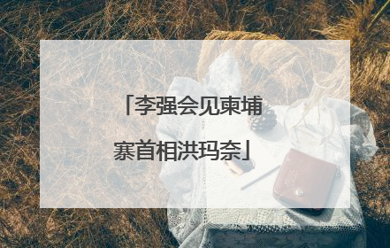李强会见柬埔寨首相洪玛奈