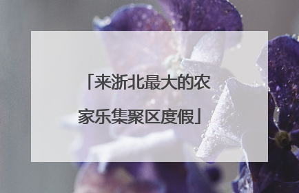 来浙北最大的农家乐集聚区度假