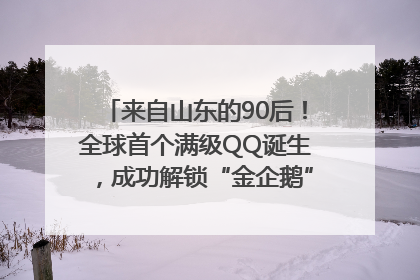 来自山东的90后！全球首个满级QQ诞生，成功解锁“金企鹅”，是继承父亲账号