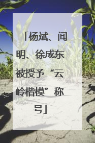 杨斌、闻明、徐成东被授予“云岭楷模”称号