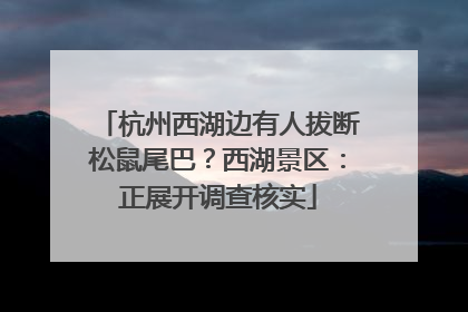 杭州西湖边有人拔断松鼠尾巴？西湖景区：正展开调查核实