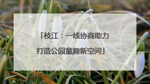 枝江：一线协商助力打造公园童趣新空间