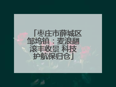 枣庄市薛城区邹坞镇：麦浪翻滚丰收景 科技护航保归仓