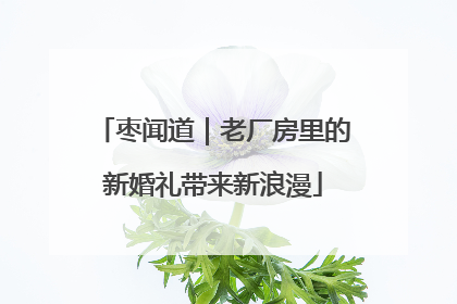 枣闻道｜老厂房里的新婚礼带来新浪漫