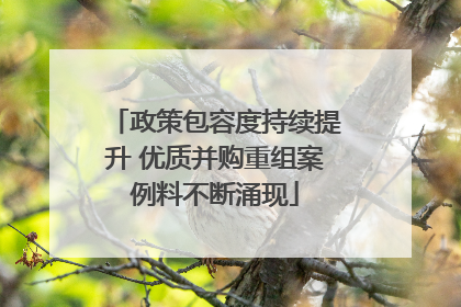 政策包容度持续提升 优质并购重组案例料不断涌现