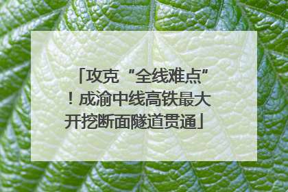 攻克“全线难点”！成渝中线高铁最大开挖断面隧道贯通