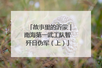 故事里的沂蒙｜南海第一武工队智歼日伪军（上）