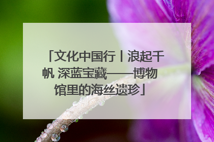 文化中国行丨浪起千帆 深蓝宝藏——博物馆里的海丝遗珍