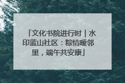 文化书院进行时｜水印蓝山社区：粽情暖邻里，端午共安康