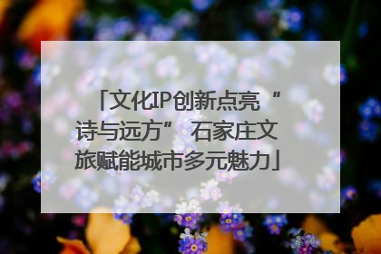 文化IP创新点亮“诗与远方” 石家庄文旅赋能城市多元魅力