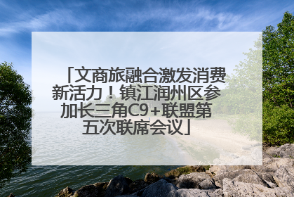 文商旅融合激发消费新活力！镇江润州区参加长三角C9+联盟第五次联席会议