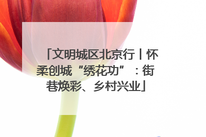 文明城区北京行丨怀柔创城“绣花功”：街巷焕彩、乡村兴业