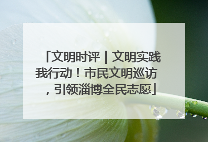 文明时评｜文明实践我行动！市民文明巡访，引领淄博全民志愿