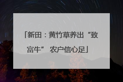 新田：黄竹草养出“致富牛” 农户信心足