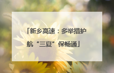 新乡高速：多举措护航“三夏”保畅通