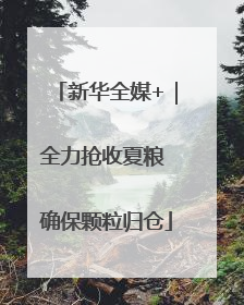 新华全媒+｜全力抢收夏粮 确保颗粒归仓