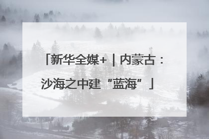 新华全媒+｜内蒙古：沙海之中建“蓝海”