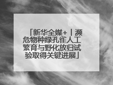 新华全媒+丨濒危物种绿孔雀人工繁育与野化放归试验取得关键进展