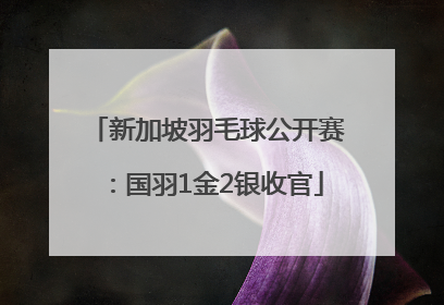 新加坡羽毛球公开赛：国羽1金2银收官