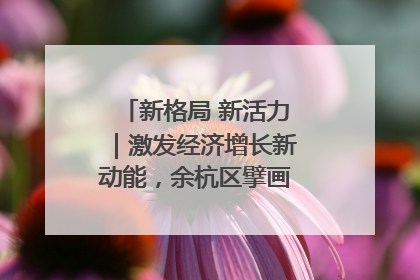 新格局 新活力｜激发经济增长新动能，余杭区擘画消费市场新布局
