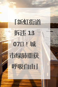 新虹街道拆违 1307㎡！城市绿肺重获呼吸自由
