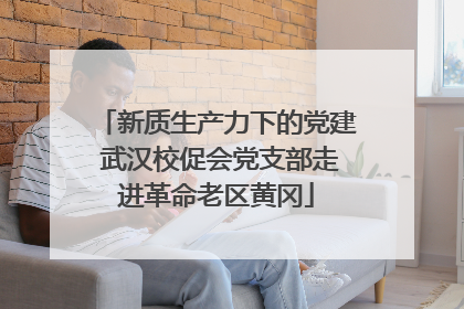 新质生产力下的党建 武汉校促会党支部走进革命老区黄冈
