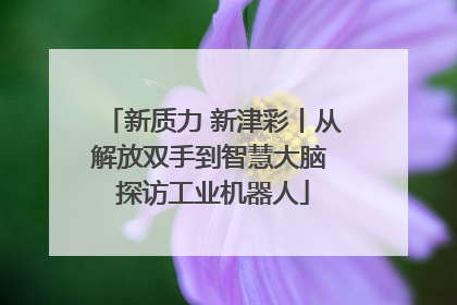 新质力 新津彩丨从解放双手到智慧大脑 探访工业机器人