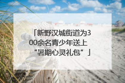 新野汉城街道为300余名青少年送上“暑期心灵礼包”