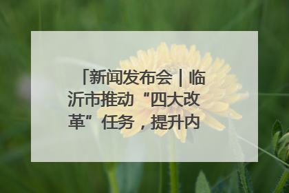 新闻发布会｜临沂市推动“四大改革”任务，提升内部审计监督效能