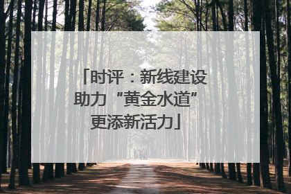 时评：新线建设助力“黄金水道”更添新活力