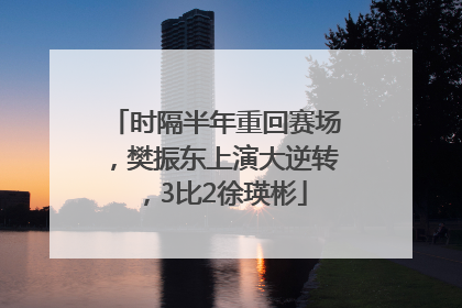 时隔半年重回赛场，樊振东上演大逆转，3比2徐瑛彬