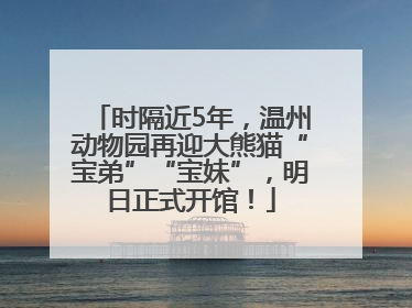 时隔近5年，温州动物园再迎大熊猫“宝弟”“宝妹”，明日正式开馆！