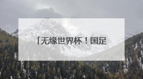 无缘世界杯！国足0-1不敌印尼，范志毅语塞：早没信心了但不甘心
