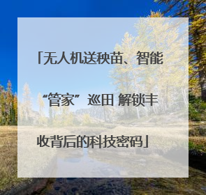 无人机送秧苗、智能“管家”巡田 解锁丰收背后的科技密码