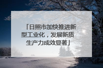 日照市加快推进新型工业化，发展新质生产力成效显著