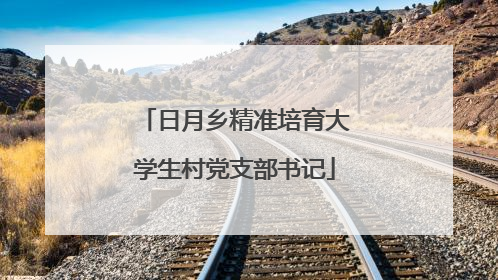 日月乡精准培育大学生村党支部书记
