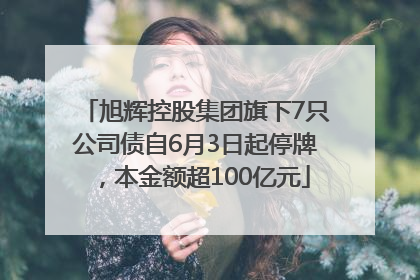 旭辉控股集团旗下7只公司债自6月3日起停牌，本金额超100亿元