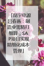 昆宇电源吕春燕：制造业需精打细算，SAP项目实现精细化成本管理