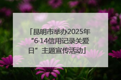 昆明市举办2025年“6·14信用记录关爱日”主题宣传活动