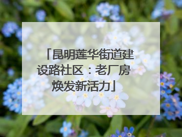 昆明莲华街道建设路社区：老厂房焕发新活力