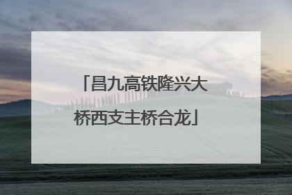 昌九高铁隆兴大桥西支主桥合龙