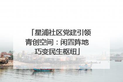 星浦社区党建引领青创空间：闲置阵地巧变民生枢纽
