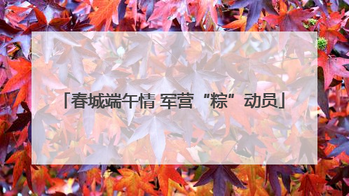 春城端午情 军营“粽”动员