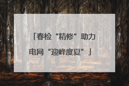 春检“精修”助力电网“迎峰度夏”