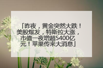 昨夜，黄金突然大跌！美股爆发，特斯拉大涨，市值一夜增超5400亿元！苹果传来大消息