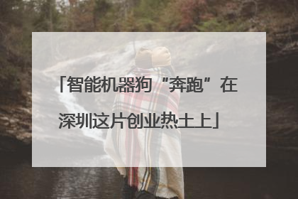 智能机器狗“奔跑”在深圳这片创业热土上