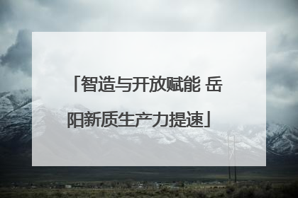 智造与开放赋能 岳阳新质生产力提速